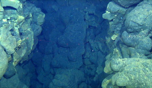 radiocarbon dating is done by estimating in the specimen radiocarbon dating is done by estimating in the specimen