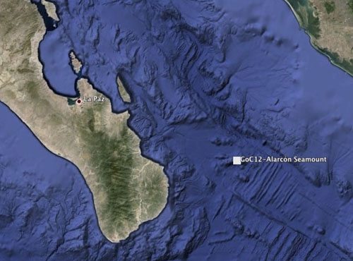 As we did during the 2012 Gulf of California expedition, we are visiting Alarcón Seamount aboard the R/V Western Flyer today.