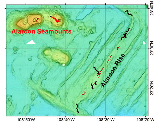 Map of Alarcón Seamounts and Alarcón Rise. The track of today's ROV dive is in red, planned dives for this expedition are in black, and previous dive tracks are brown.