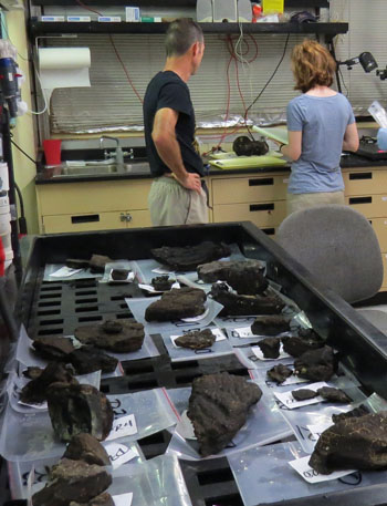Rock samples from the dive are laid out to dry onboard the ship, while Julie Bowles and Ronald Spelz work on describing characteristics of the samples, such as the rock type, size, crystal content, and alteration coatings.