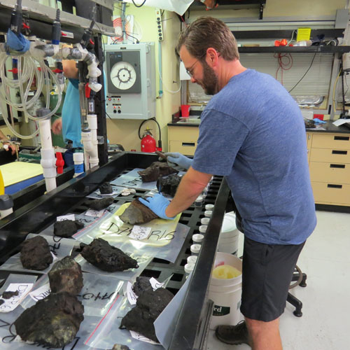 Brian Dreyer chips glass from our lava samples. The glass chips will be made into thin sections (glued to microscope slides and polished to a thin slice) for analysis of the chemical composition by electron microprobe back on shore.