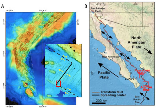 (A) Bathymetric map showing the approximate location for today’s dive on the transition from the Alarcón Rise mid-ocean ridge spreading center to the Tamayo transform fault. The red star shows the approximate location of clam beds. The inset shows the entire length of the Alarcón Rise. The solid black line represents the mid-ocean ridge spreading center, which is volcanically active. Dashed lines are transform faults, which are not thought to be volcanically active. The yellow arrows show relative motion of tectonic plates. High-resolution MBARI mapping AUV bathymetry data is shown over ship-based data. (B) A broader view of the mid-ocean ridge system in the Gulf of California showing the relative location of the Alarcón Rise. Spreading centers (double black lines) are linked together by transform faults (single red lines).
