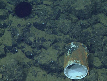 Although we often see trash while transiting across the sea bottom, it is still always surprising to witness stark evidence of our influence, even in places that may have never before been seen by humans.