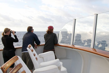 Susan Von Thun, Mike Risi, and Judit Pungor scan the horizon for Sargassum.