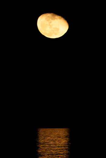 We took a break from processing samples last night to enjoy this beautiful view of the moon rising over the Gulf of California. Photo by Greg Rouse.