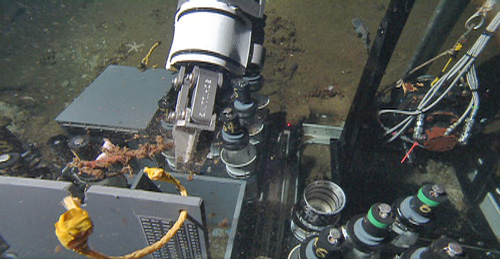 The remotely operated vehicle (ROV) has many types of samplers on its toolsled to carry samples to the surface for scientists to study onboard the ship. In the upper right is the vibracore system; the two gray boxes are for rocks or large biology samples such as clams; and the suite of small numbered tubes (lower right) are push cores for sampling sediment in different areas of the canyon. The manipulator arm is putting a small piece of wood in the sampling box.