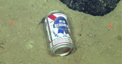 beer can on seafloor