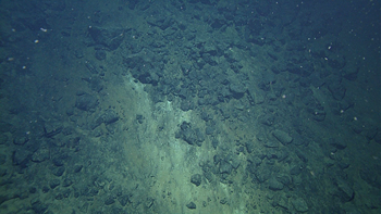 Talus slope of volcaniclastic and pillow lava debris on the flank of a 100 meter tall flat-topped cone at the end of the dive.