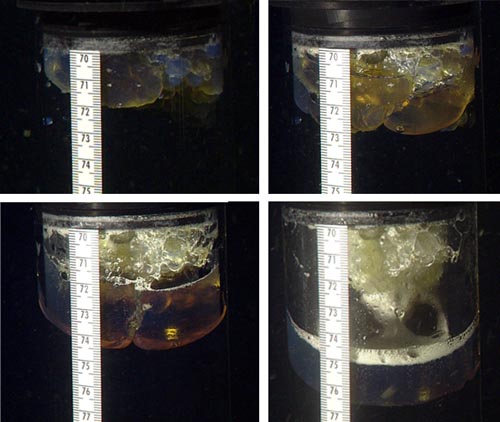 oil sample