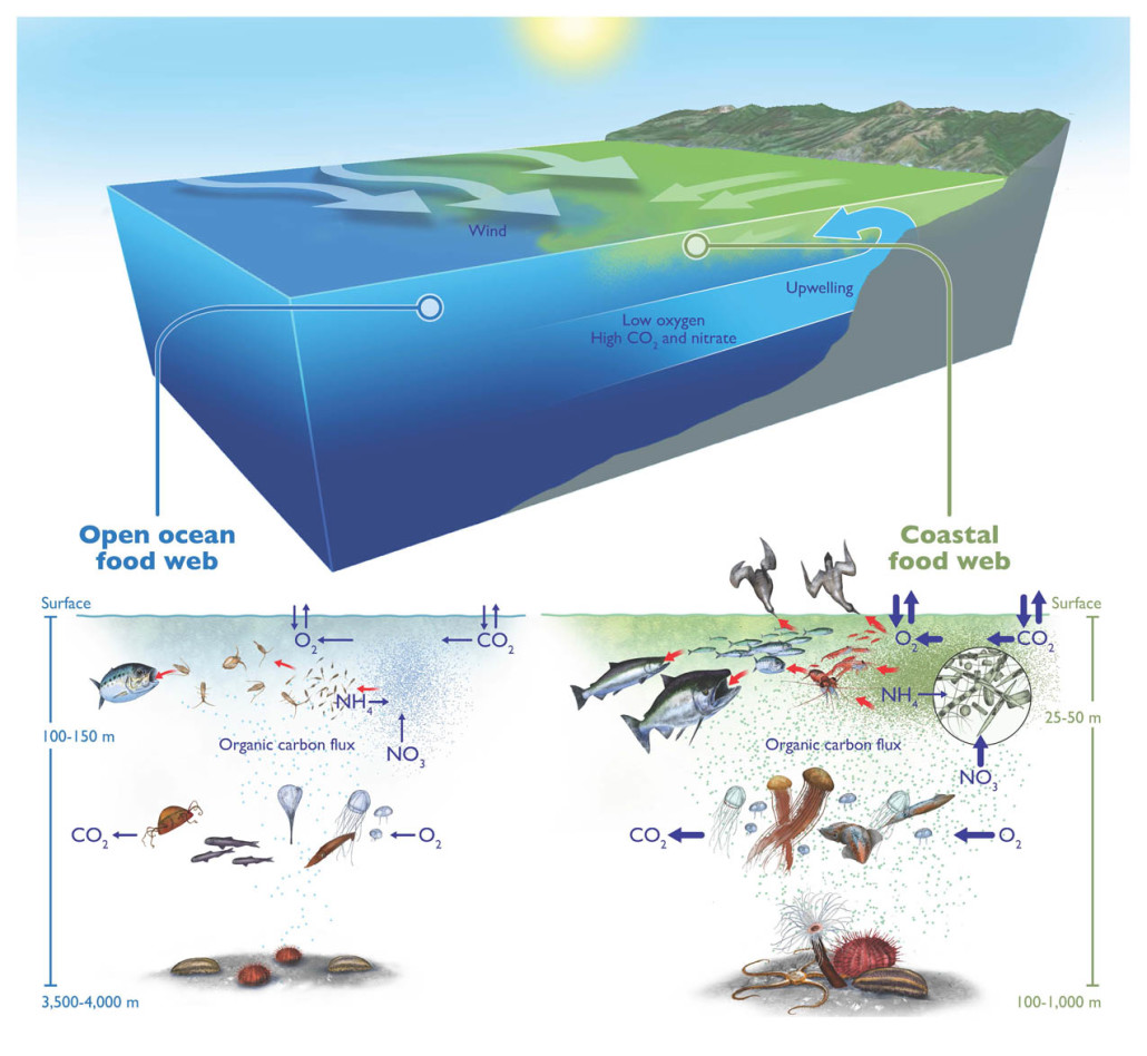MBARI Interdisciplinary field experiments
