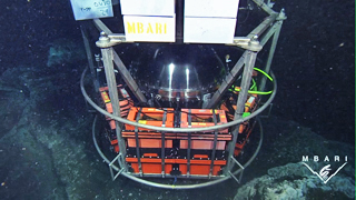 The Environmental sample processor (ESP) is an automated molecular biology laboratory. Floating in the open ocean or moored in the deep sea, it can detect microbes and other tiny living organisms using their genetic material. It can also detect other biologically important compounds such as toxins generated during harmful algal blooms. This video shows a test of the "Deep-ESP," which can operate as deep as 4,000 meters below the ocean surface. The Deep Environmental Sample Processor (Deep-ESP)