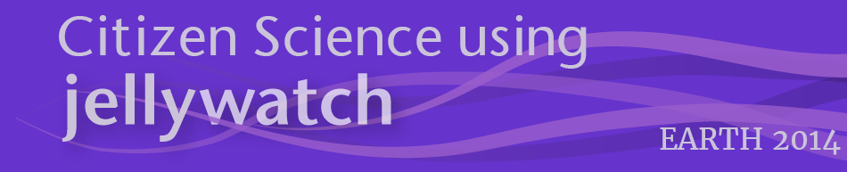 jw_banner_thin