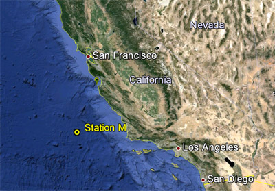Station M is a long-term study site on the abyssal plain, about 220 kilometers (140 miles) off the Central California coast and 4,000 meters (13,100) feet below the ocean surface. Base image: Google Earth