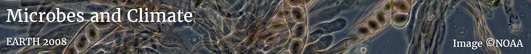 lesson_banner_mac