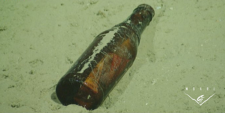 Marine Debris<br> Glass Bottle<br>
We are seeing more and more garbage in the deep sea. Lots of things are carried to the deep sea by currents and sediment flows. One big danger is that animals will eat plastic, cardboard, and other materials that may be dangerous to them and don't provide nutrition. Marine Debris<br> Glass Bottle