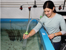 Postdoctoral Fellow Stephanie Bush cares for animals behind the scenes at the Monterey Bay Aquarium. Photo by Randy Wilder © Monterey Bay Aquarium.