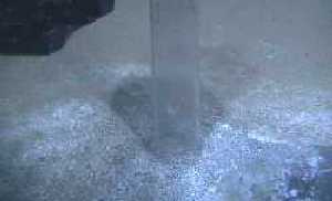 Bacterial mat