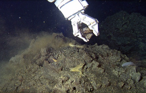ROV manipulator arm collecting lava flow sample