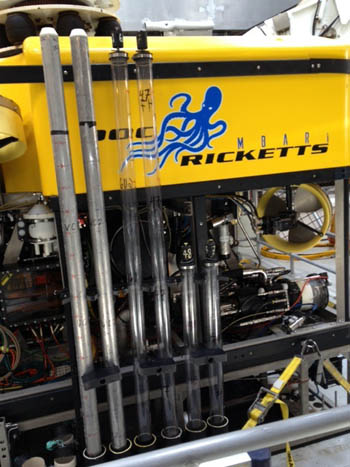 doc ricketts' core tubes