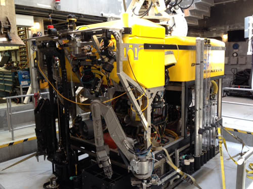 ROV doc ricketts