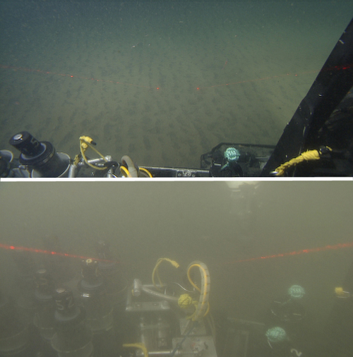 turbidity current