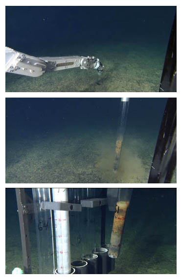 sediment core sample