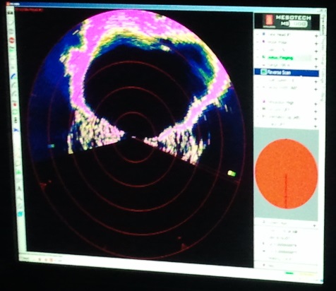 Image of ROV sonar display