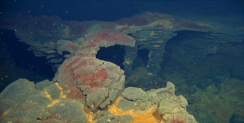 red bacterial mat