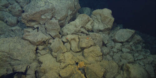 Hydrothermal flow is continuing to percolate through this old cone. An orifice (bottom center) is lined with orange bacterial mat and the rocks are coated with yellow hydrothermal stain. This is a surprising observation, and means that circulating fluids are still mining heat from the magma source.