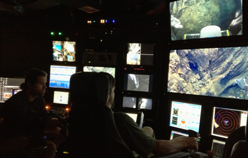 ROV pilots