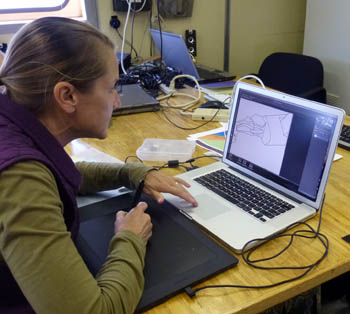 science illustrator Kelly Lance at work