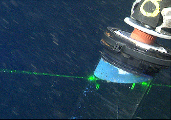 fluorescent blue oil