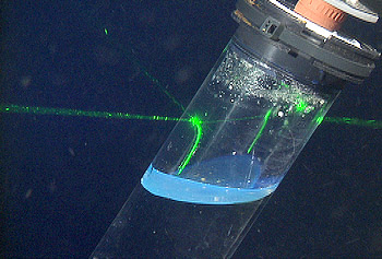 space between oil and top of the tube filled w/ gases