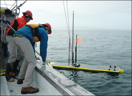 Brian Kieft (left) and Liam Chaffey (right) positioned the Wave Glider hotspot before it was hoisted aboard the R/V Paragon with the help of Thom Maughan and Mark Chaffey (not shown).