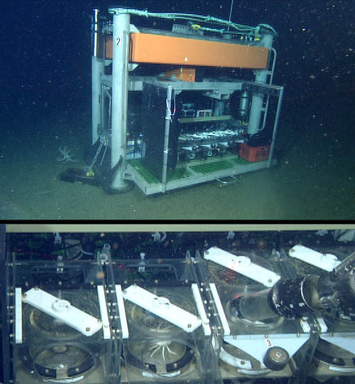 benthic respirometry system