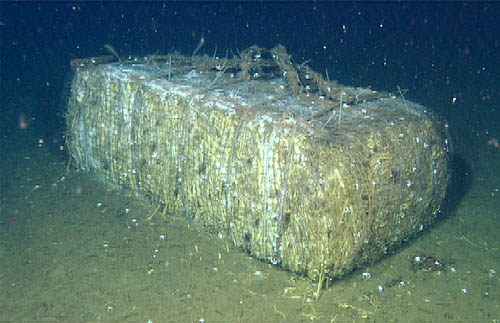 corn bale