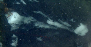 solid ice-like methane