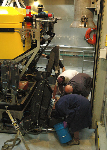 When the ROV arrives back on deck, everyone rushes to get the samples off the ROV and into a refrigerator.
