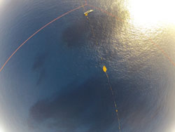 The aerial view of the Sargassum as it touches the Lone Ranger on the starboard aft quarter. Photo: KAI Institute