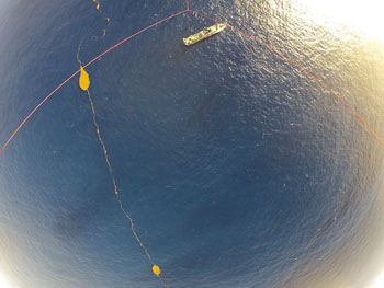 As the kite platform is reeled in, it records a closer view of the Sargassum aggregation as it drifts away from the Lone Ranger. The windrow extended on both sides of the ship. Photo: KAI Institute