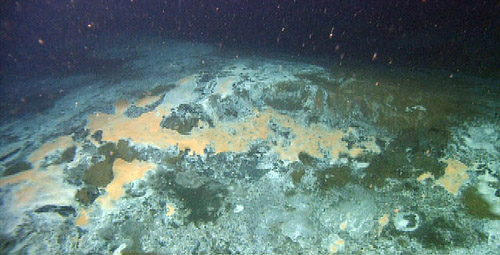 This large mound is covered in bacterial mats, devoid of other marine life. 