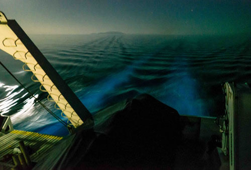 Bioluminescent dinoflagellates, ostracods, and other planktonic organisms glow after being disturbed by turbulence from the boat. Photo taken by Andrew McKee during GOC 2012 expedition.