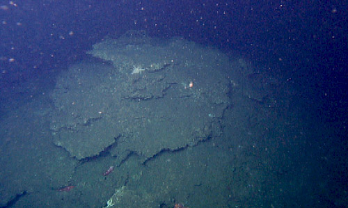 This mound is made of calcium carbonate, which indicates that this was an active venting site in ancient times.