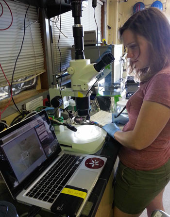 Cat Munro, a graduate student at Brown University, working in the lab aboard the Western Flyer.