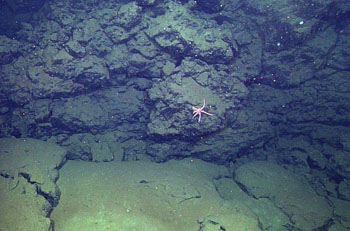 Contact between a very rugged rhyolite flow above a smooth, basaltic lava lobate sheet flow that flowed in around it.
