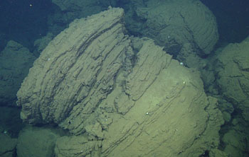 The surface of these rhyolite lava pillows is rough and corrugated. This is because the high silica content makes the rhyolite lava very viscous (pasty).
