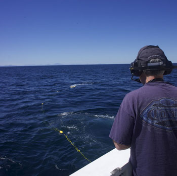 Dale Graves stands on the back deck using a “belly pack”, a remote control for the mini ROV. You can see the MiniROV at the surface in the distance and its tether trailing back to the ship.