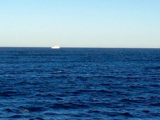 This morning, the R/V Western Flyer was spotted by researchers aboard another MBARI vessel, the R/V Rachel Carson.