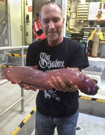 It was so big that it could not fit into any of the containers on the ROV Doc Ricketts. It had to lie in the back of the sample drawer.