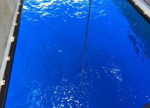 Looking down into the blue, blue water of the open ocean through the moon pool in the middle of the R/V Western Flyer. The cable in the center is the ROV's tether and leads down to the ROV Doc Ricketts working more than 2,300 meters below us.